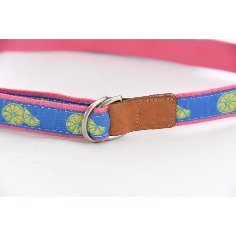 Talbots Women Sz L Lemon Print Ribbon Belt Canvas Leather Blue Preppy D Ring USA